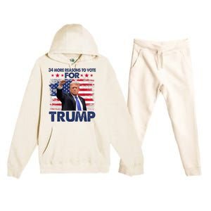 34 Reasons To Vote Convicted Felon 2024 Premium Hooded Sweatsuit Set