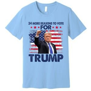 34 Reasons To Vote Convicted Felon 2024 Premium T-Shirt