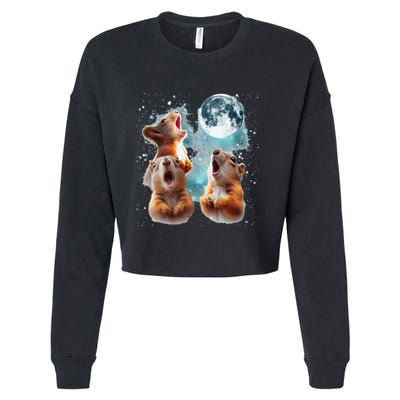 3 Squirrel Moon Howling Squirrel Head Funny Cropped Pullover Crew