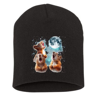 3 Squirrel Moon Howling Squirrel Head Funny Short Acrylic Beanie