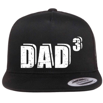 3rd Third Time Dad Father Of 3 Announcet Gift Flatbill Hat
