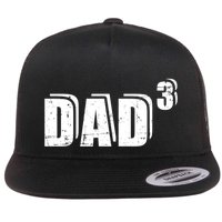 3rd Third Time Dad Father Of 3 Announcet Gift Flat Bill Trucker Hat