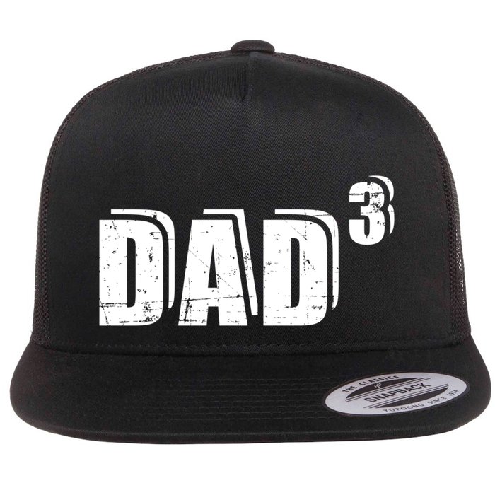 3rd Third Time Dad Father Of 3 Announcet Gift Flat Bill Trucker Hat