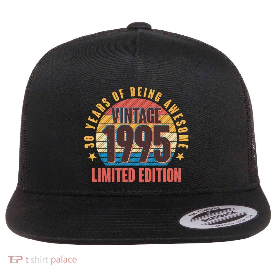 30 Years Of Being Awesome 1995 Limited Edition Vintage Retro Flatbill Hat