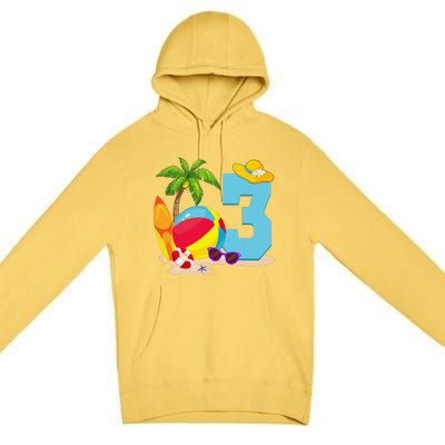 3 Year Old Beach Ball Pool Party Birthday Summer Vacation Premium Pullover Hoodie