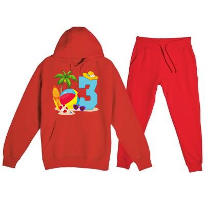 3 Year Old Beach Ball Pool Party Birthday Summer Vacation Premium Hooded Sweatsuit Set