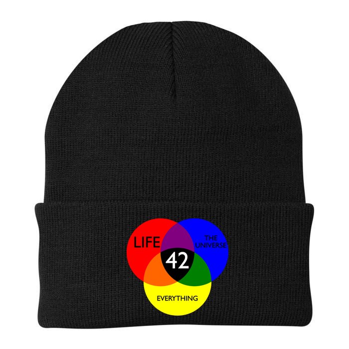 42 The Answer To Life Universe And Everything Beanie