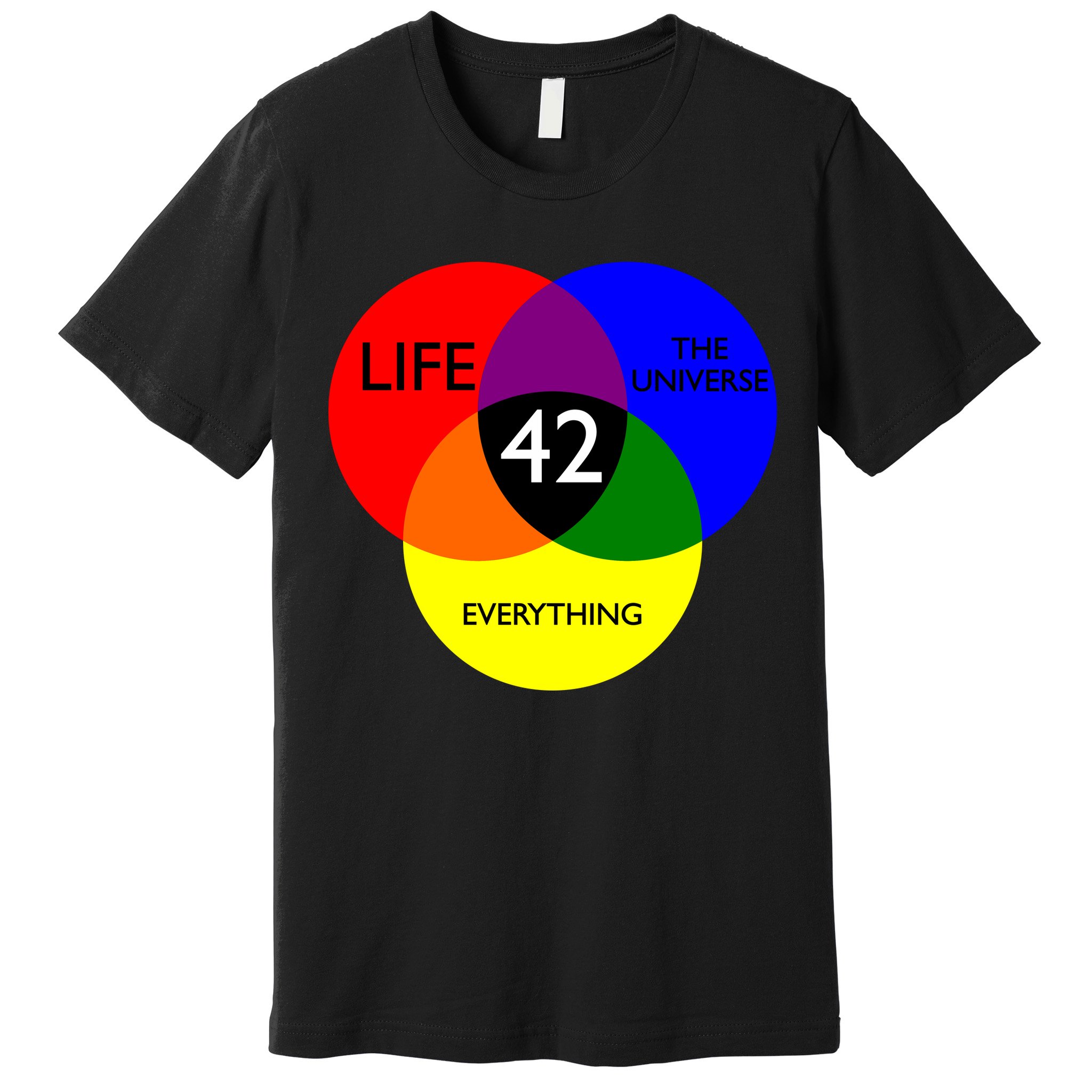 42 The Answer To Life Universe And Everything Premium T-Shirt