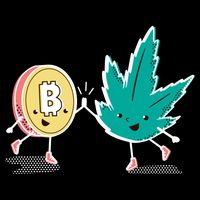 420 Bitcoin 16 in Basic Backpack