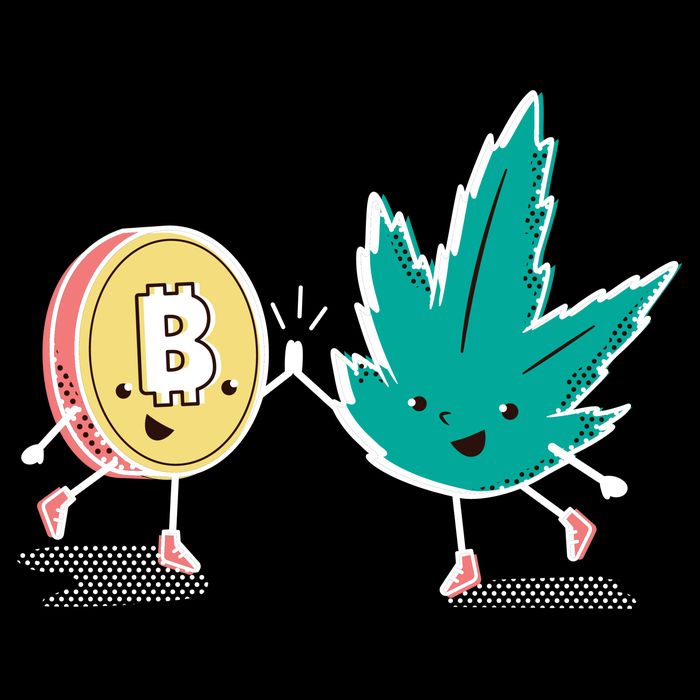 420 Bitcoin 16 in Basic Backpack