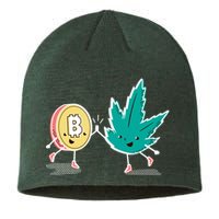 420 Bitcoin Sustainable Beanie
