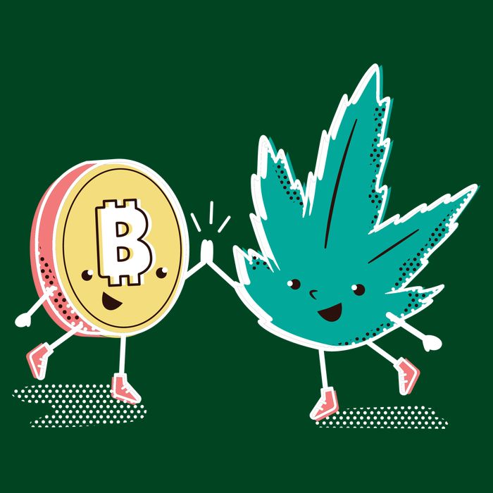 420 Bitcoin Sustainable Beanie