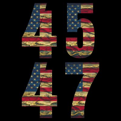 45 47 Trump Vintage Flag 2024 Election T-Shirt