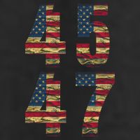 45 47 Trump Vintage Flag 2024 Election Beanie