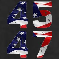45 47 Usa Flag 7 Panel Mesh Trucker Snapback Hat