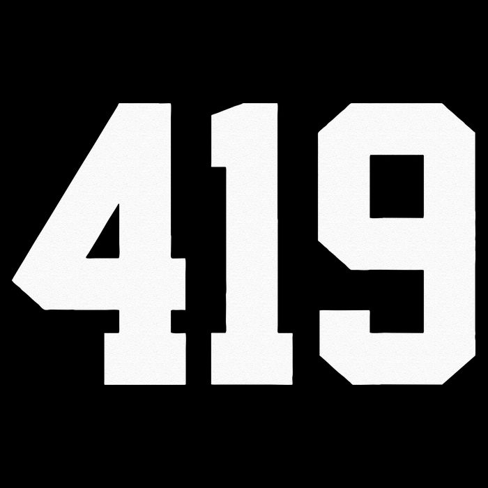 419 Area Code Toledo Sylvania Mansfield Lima Findlay Ohio Button