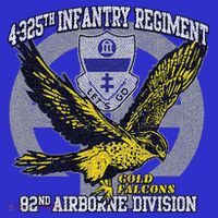 4325th Airborne Infantry Gold F.A.L.C.O.N.S Bag