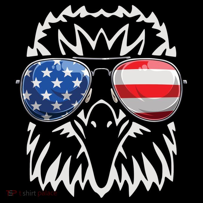 4th July American Eagle Flag Independence Day Poster