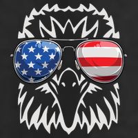 4th July American Eagle Flag Independence Day Hat