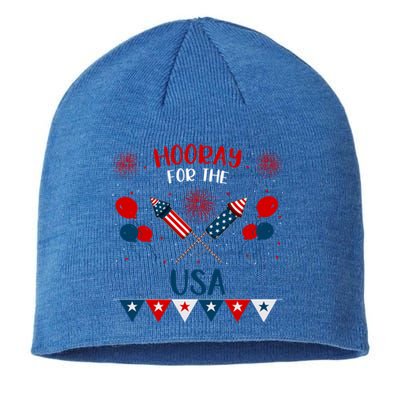 4th July Events Patriotism American Independence Funny Gift Sustainable Beanie