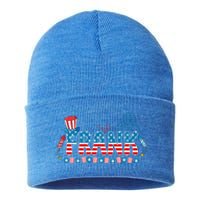 4th July Patriotic Bbq Holiday National Family Frank Gift Sustainable Knit Beanie