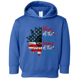 4th Of July Usa Flag Home Of The Free Because Of The Brave Funny Gift Toddler Hoodie