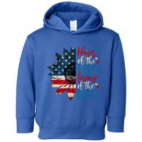 4th Of July Usa Flag Home Of The Free Because Of The Brave Funny Gift Toddler Hoodie