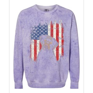 4th Of July Labrador American Flag Patriotic Chocolate Lab Colorblast Crewneck Sweatshirt