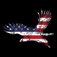 4th Of July Bald Eagle Us Flag Pocket America Cooling Performance Crew T-Shirt