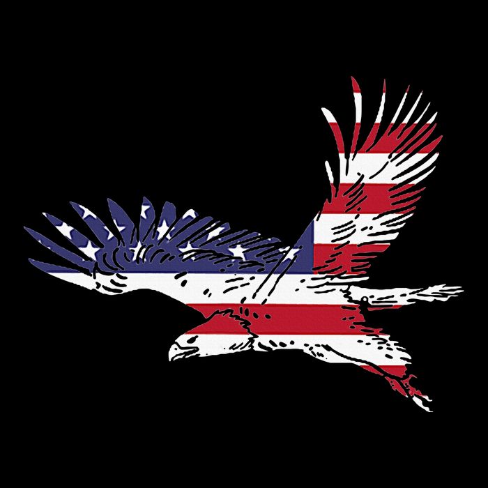 4th Of July Bald Eagle Us Flag Pocket America Cooling Performance Crew T-Shirt