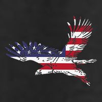 4th Of July Bald Eagle Us Flag Pocket America Beanie