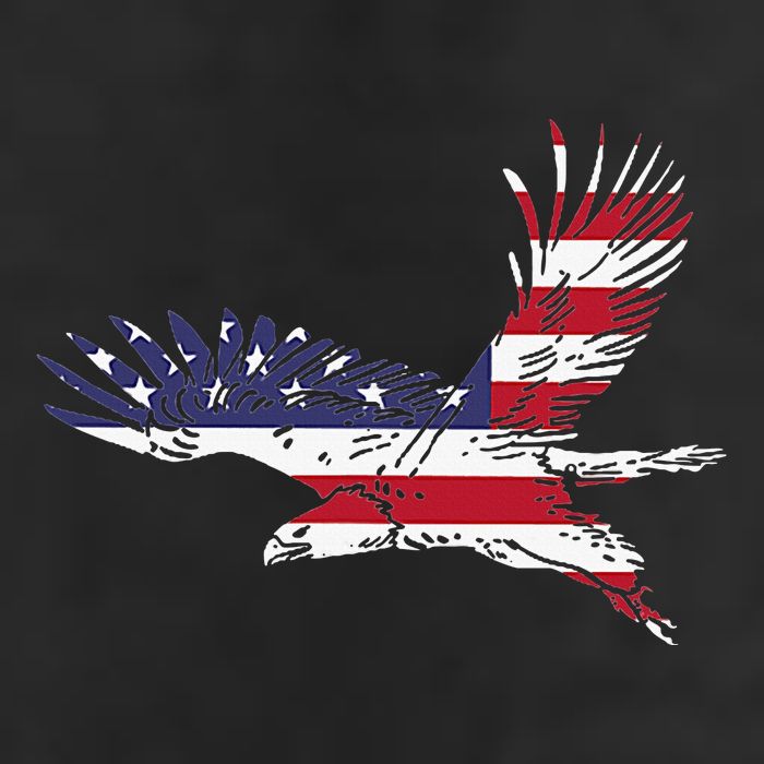 4th Of July Bald Eagle Us Flag Pocket America Beanie