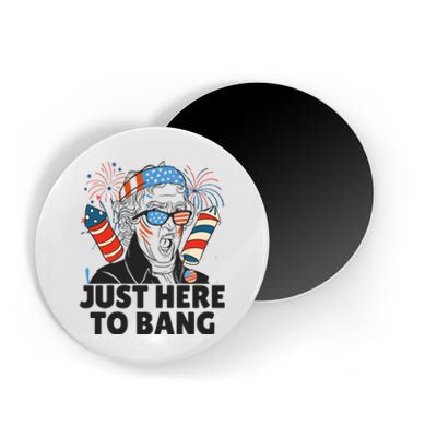 4th Of July Independence Day USA American Funny Fireworks Magnet