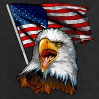 4th Of July Eagle American Flag 7 Panel Mesh Trucker Snapback Hat