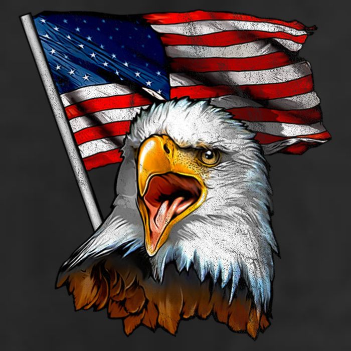 4th Of July Eagle American Flag 7 Panel Mesh Trucker Snapback Hat