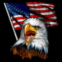4th Of July Eagle American Flag Cooling Performance Crew T-Shirt