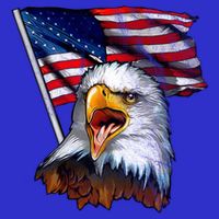 4th Of July Eagle American Flag Toddler Hoodie