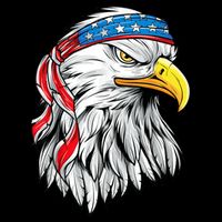 4th Of July Patriotic Eagle American Flag Cooling Performance Crew T-Shirt