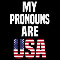 4th Of July Funny My Pronouns Are USA 7-Panel Snapback Hat