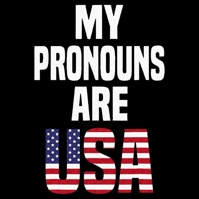 4th Of July Funny My Pronouns Are USA 7-Panel Snapback Hat