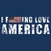 4th Of July American Funny Gift I Fucking Love America Poster