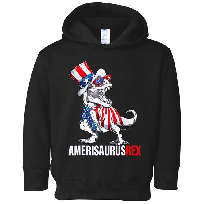 4th Of July T Rex Dinosaur Amerisaurus Rex Toddler Hoodie