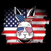 4th Of July Bunny, Funny Fourth Of July Graphic, Plus Size Shirt For Men Women Cooling Performance Crew T-Shirt