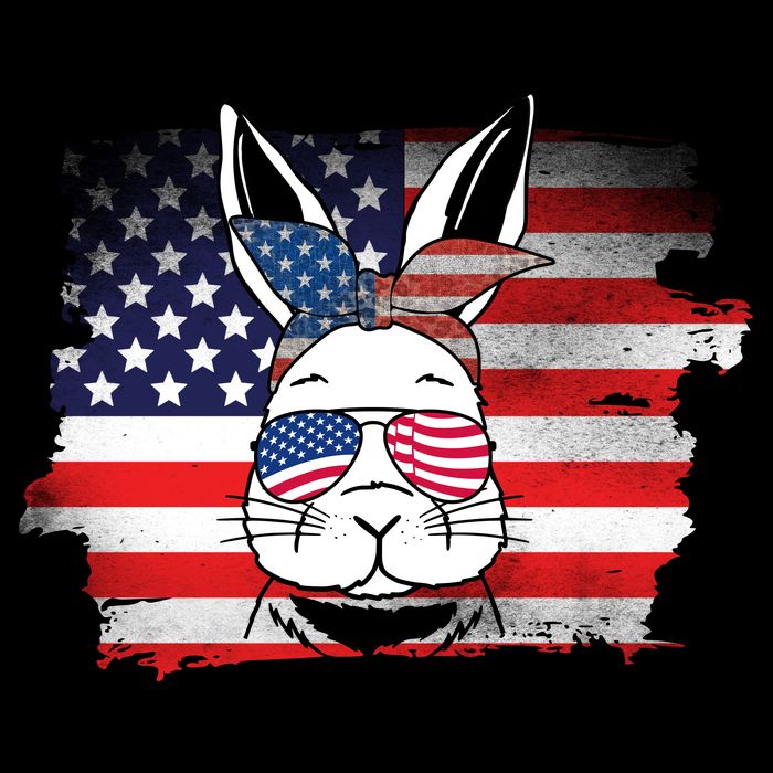 4th Of July Bunny, Funny Fourth Of July Graphic, Plus Size Shirt For Men Women Cooling Performance Crew T-Shirt