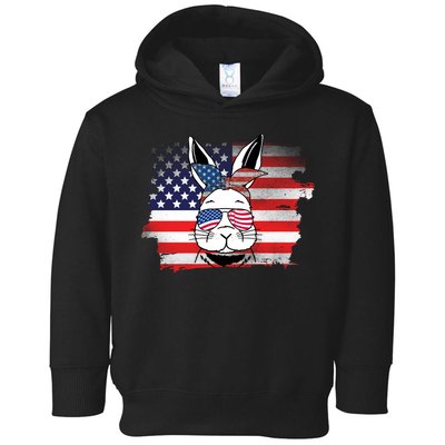 4th Of July Bunny, Funny Fourth Of July Graphic, Plus Size Shirt For Men Women Toddler Hoodie