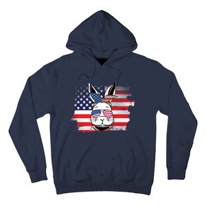 4th Of July Bunny, Funny Fourth Of July Graphic, Plus Size Shirt For Men Women Hoodie