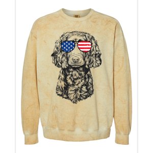 4th Of July Boykin Spaniel Dog Patriotic USA Sunglasses Colorblast Crewneck Sweatshirt