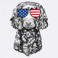 4th Of July Boykin Spaniel Dog Patriotic USA Sunglasses Tall T-Shirt