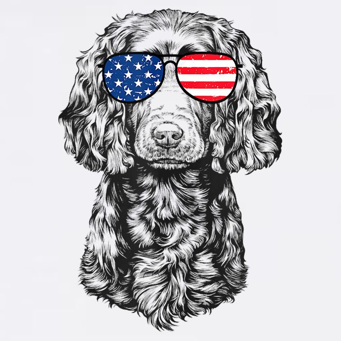 4th Of July Boykin Spaniel Dog Patriotic USA Sunglasses Women's V-Neck T-Shirt