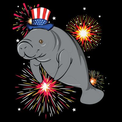 4th Of July Manatee Marine Biologist Patriotic Fireworks T-Shirt